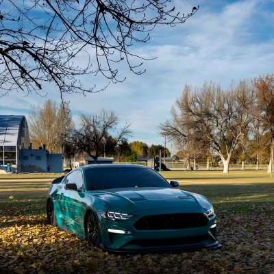 Gloss Storm Green Car Vinyl Wrap PET 02