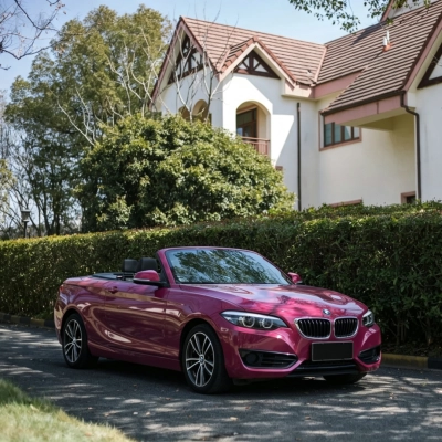 TPU Glossy Ruby Star Colored PPF Paint Protection Film 02