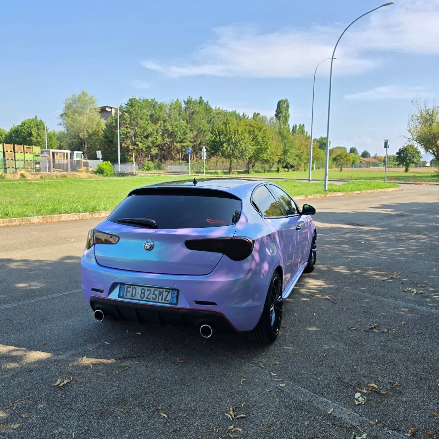 Chameleon Purple Green Car Vinyl Wrap
