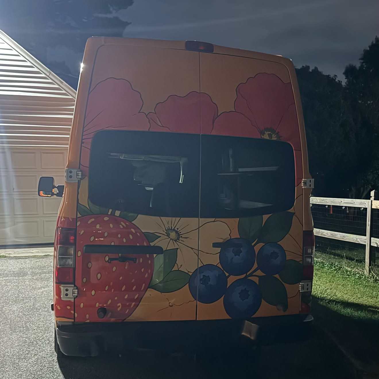 ภาพอ้างอิงสีฟิล์ม ALUKOVINYL Personalised Flower Print Custom Van Wraps รหัส D0045 — ภาพที่ 3