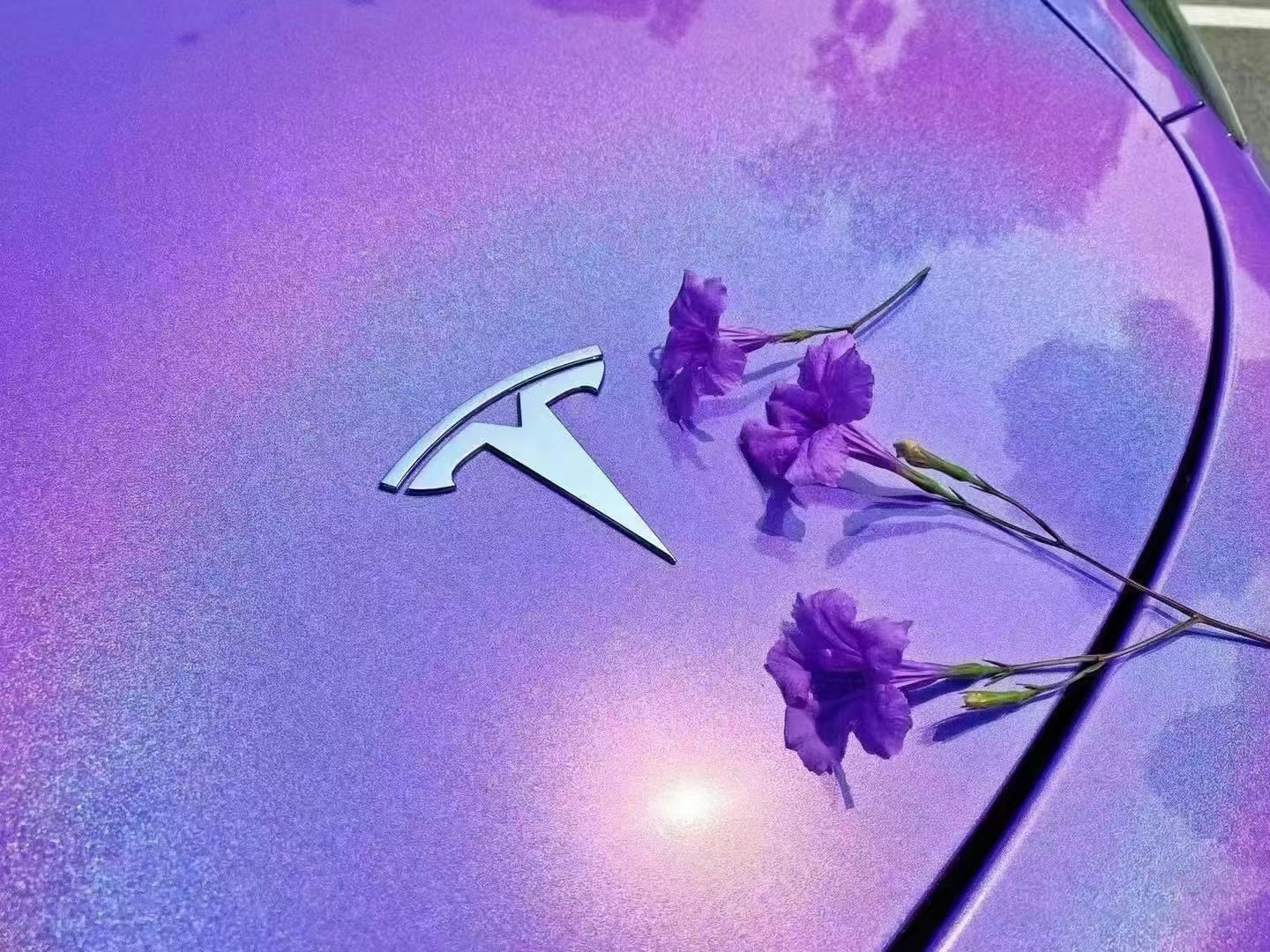 Gloss Metallic Rainbow Laser Purple  Car Vinyl Wrap (Light ) review Martin A. 02