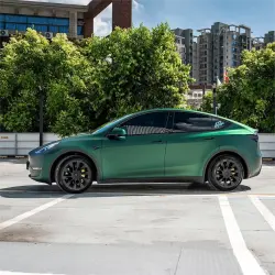 Matte Metallic Chrome Venom Green Car Vinyl Wrap PET review Bunny 02