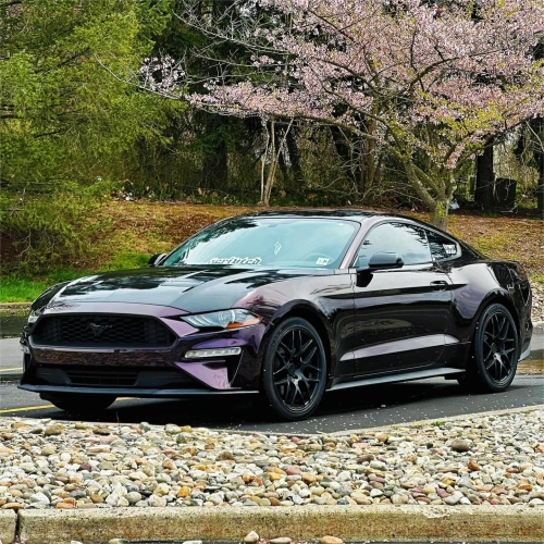 Gloss Metallic Gentian Purple Car Vinyl Wrap  PET reviewed by