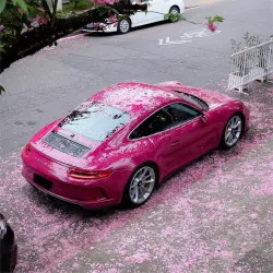 Gloss Ruby Star Car Vinyl Wrap review Ruby 03