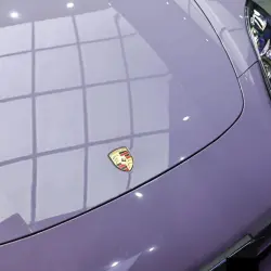 Gloss Provence Lavender Purple Car Wrap PET review Level 03