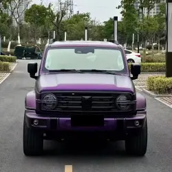 Matte Russian Violet Purple Car Vinyl Wrap  review Storm 03