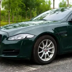 Gloss Crystal Dark Green Car Vinyl Wrap PET review Patience 02