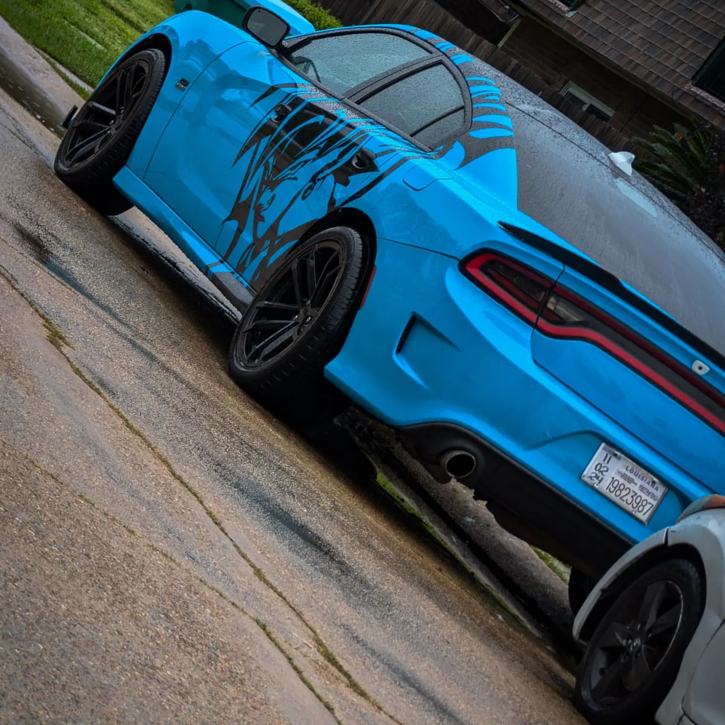 Gloss Miami Blue Car Vinyl Wrap Porsche PET review Gloss 03