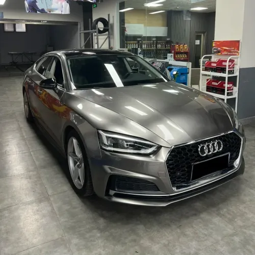 Gloss Liquid Metallic Silver Car Vinyl Wrap PET  review 