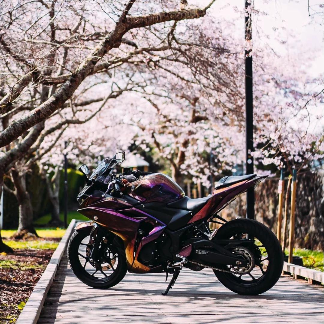 Gloss Metallic Chameleon Yellow Purple Car Vinyl Wrap PET review blossombiker 01