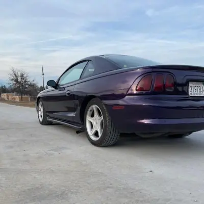 Gloss Metallic Midnight Purple Car Vinyl Wrap BMW  review Asher Speck 00