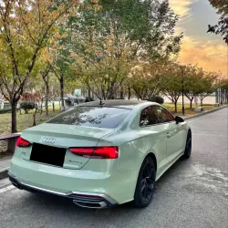 Gloss Light Khaki Green Car Vinyl Wrap Mercedes Benz review Light 02