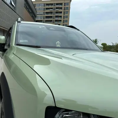 Gloss Light Khaki Green Car Vinyl Wrap PET review Delivery 01