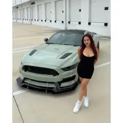 Gloss Light Khaki Green Car Vinyl Wrap PET review 5ohbrat 03