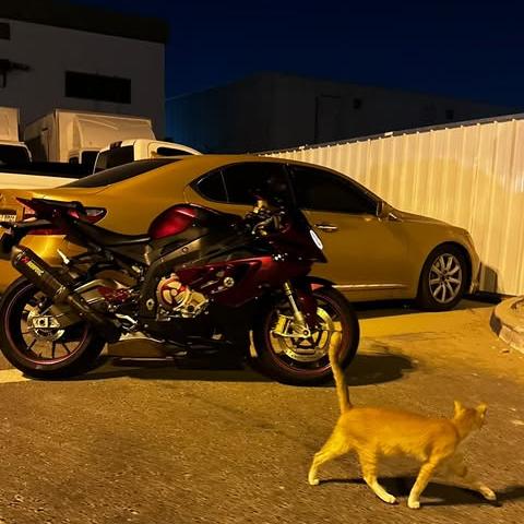 Satin Chrome Metallic Romanee Red Car Vinyl Wrap  review brzontiktok 04