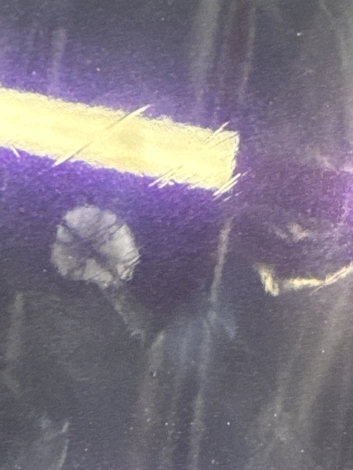 Gloss Metallic Ghost Midnight Purple Car Vinyl Wrap PET reviewed by