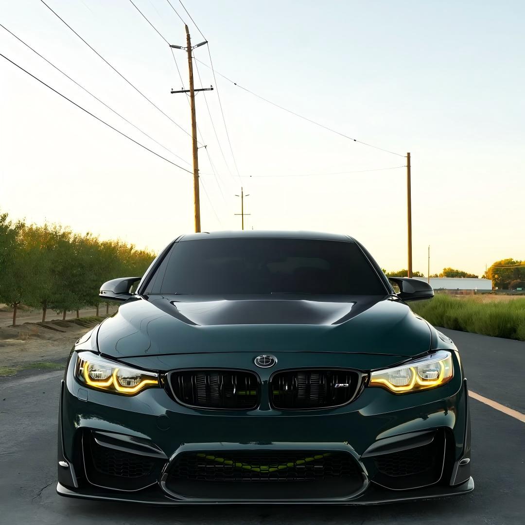 Gloss Mohsen Green Car Vinyl Wrap PET review giannyf30 01