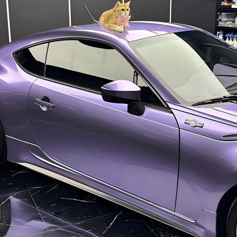Gloss Metallic Viola Purple Car Vinyl Wrap PET review brzontiktok 05