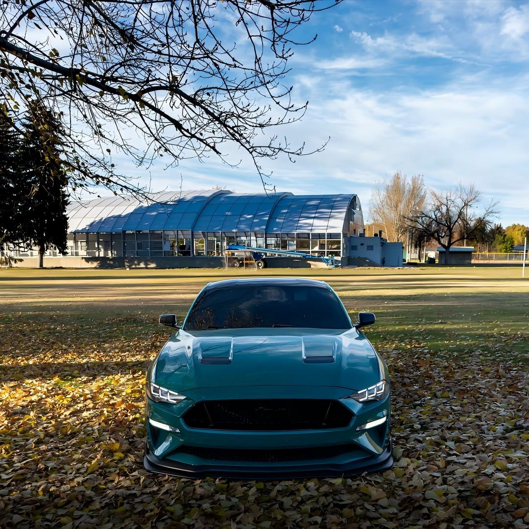 Gloss Storm Green Car Vinyl Wrap PET review bryans5oh 04