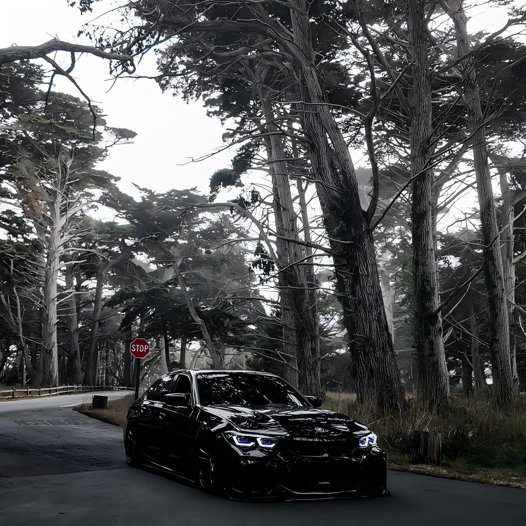 PET Super Glossy Piano Black Car Vinyl Wrap  review Ryan Markette 04