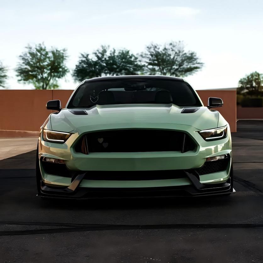 Gloss Light Khaki Green Car Vinyl Wrap PET review 5ohbrat 00