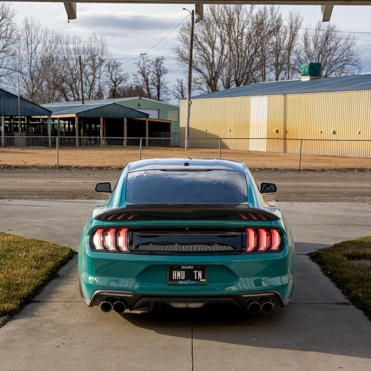 Gloss Storm Green Car Vinyl Wrap PET review 4