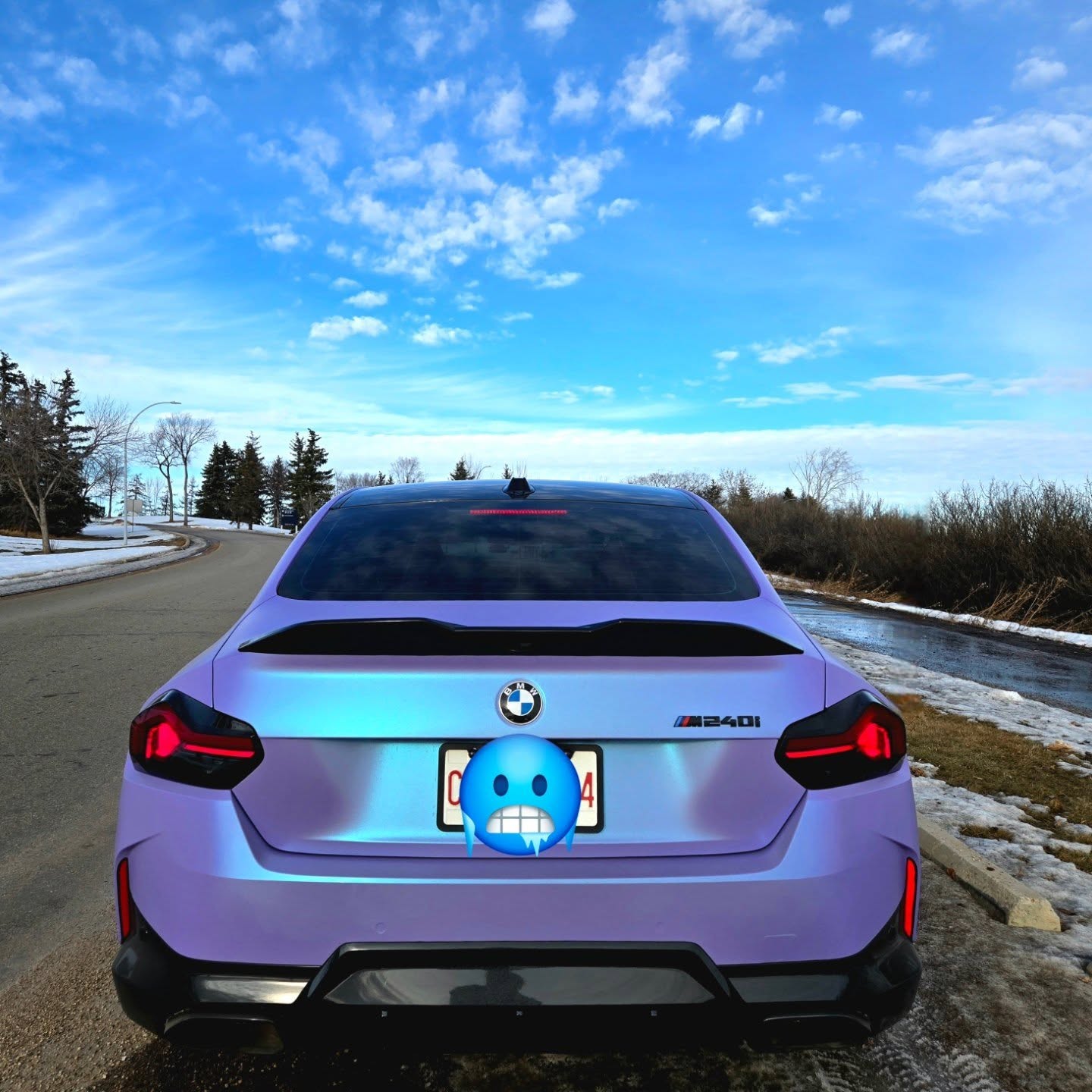 Matte Chameleon Glacial Frost Purple Car Vinyl Wrap PET review opulentautostyling 03