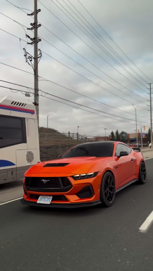 Gloss Metallic Fiery Orange Car Vinyl Wrap PET  reviewed by