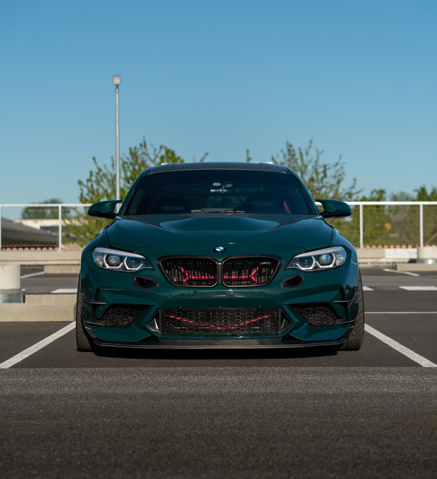 Gloss Mohsen Green Car Vinyl Wrap PET review 3