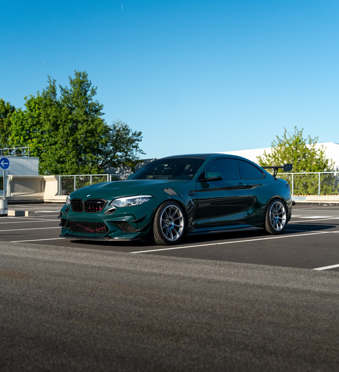 Gloss Mohsen Green Car Vinyl Wrap PET review 4