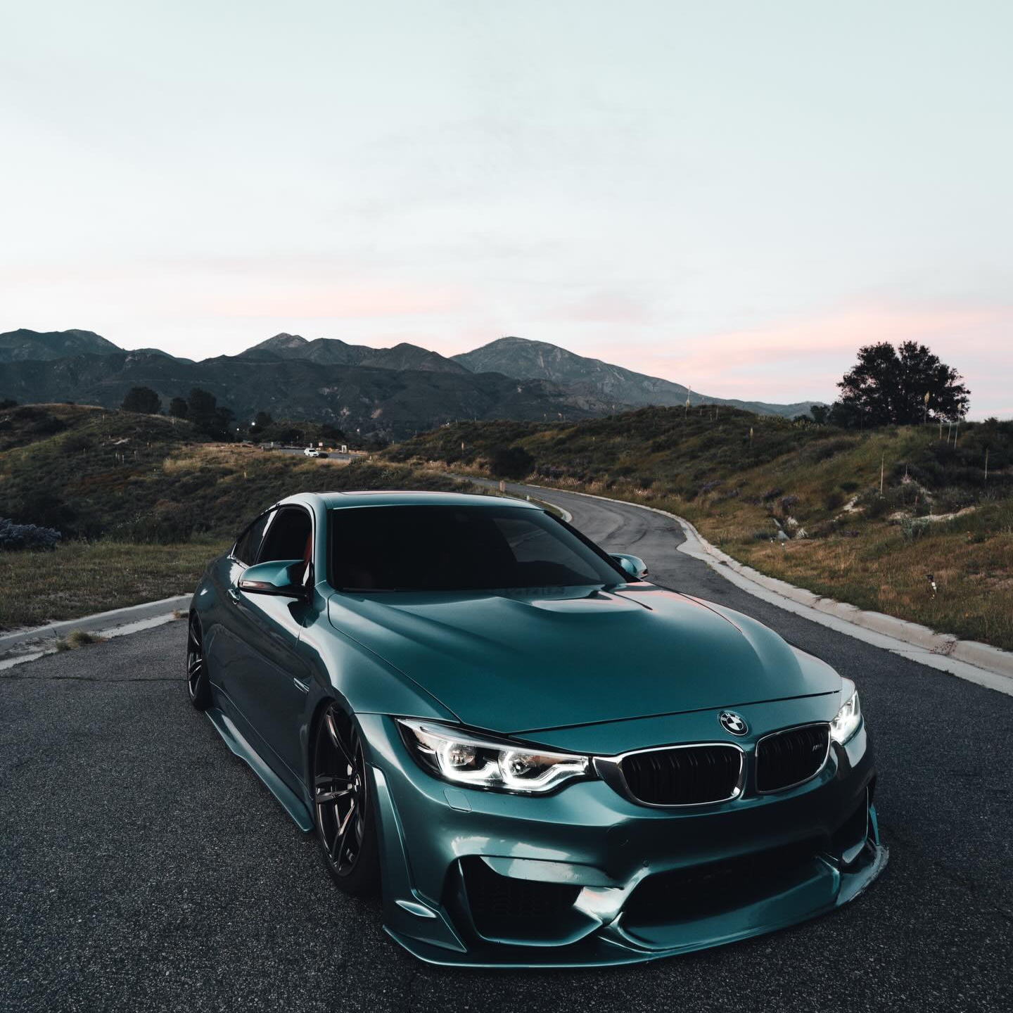 Gloss Metallic Ryan Green Car Vinyl Wrap PET review f82jair 01