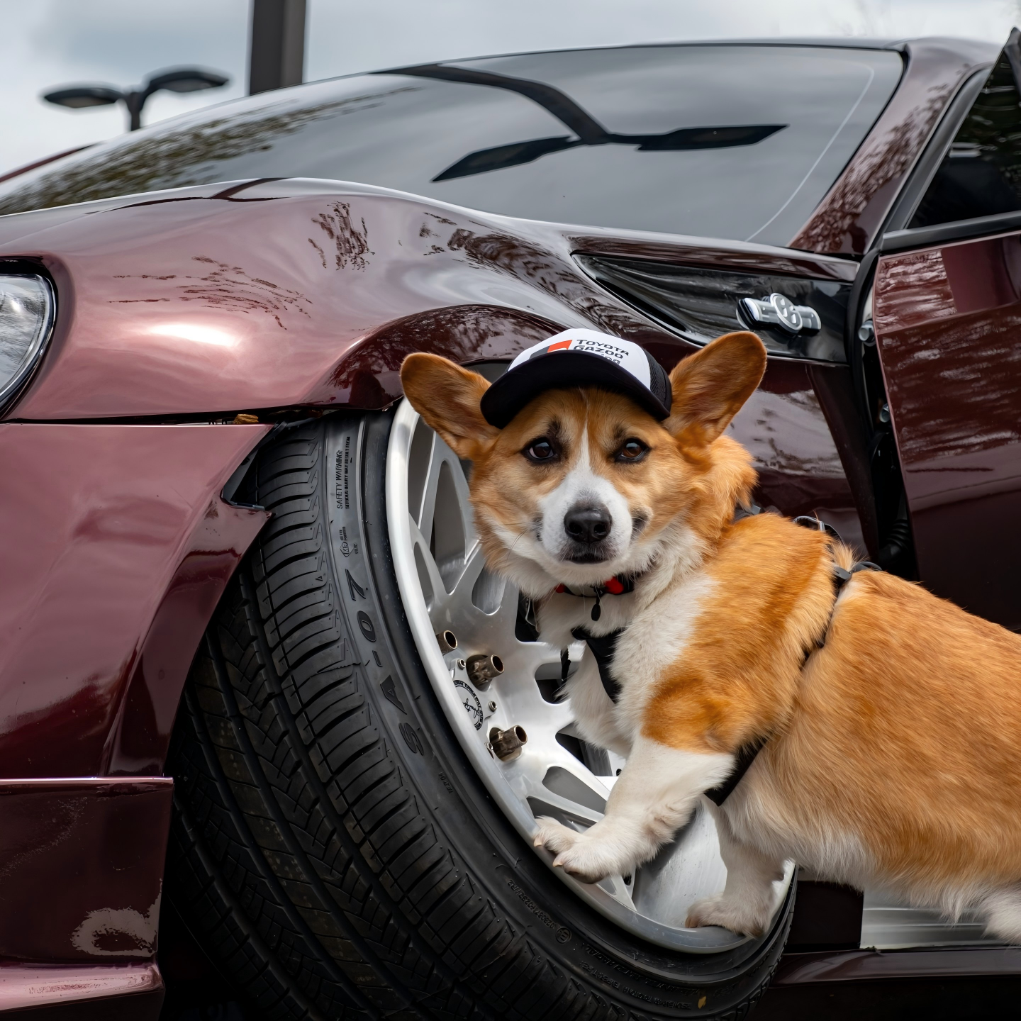 Gloss Metallic Black Rose Car Vinyl Wrap PET review brembobark 02