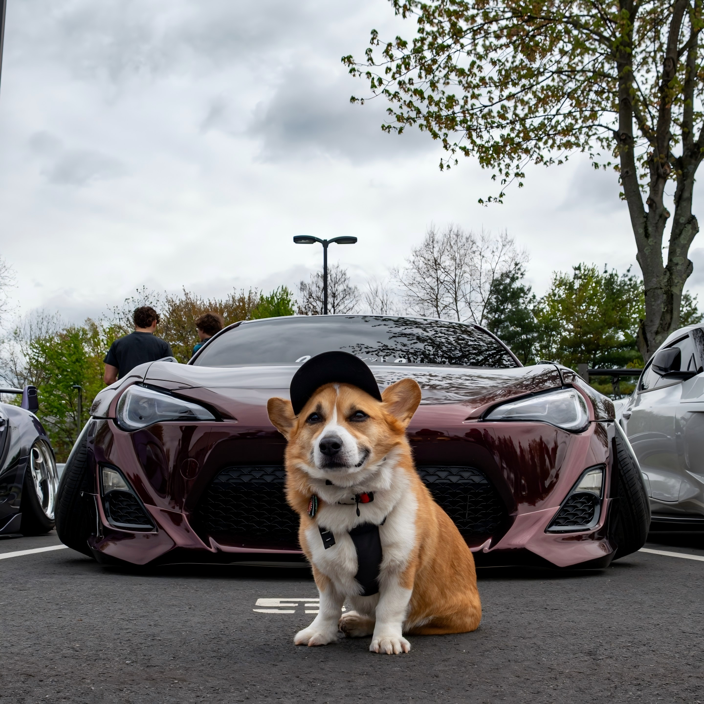 Gloss Metallic Black Rose Car Vinyl Wrap PET review brembobark 03