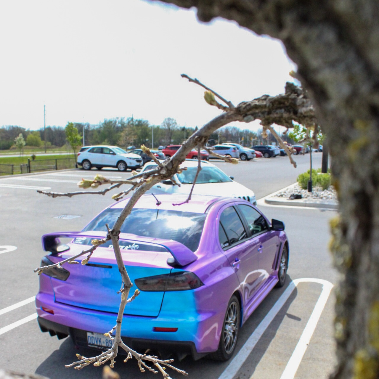 Gloss Chameleon Blue Purple Car Vinyl Wrap review obsessedoriginalsinc 03