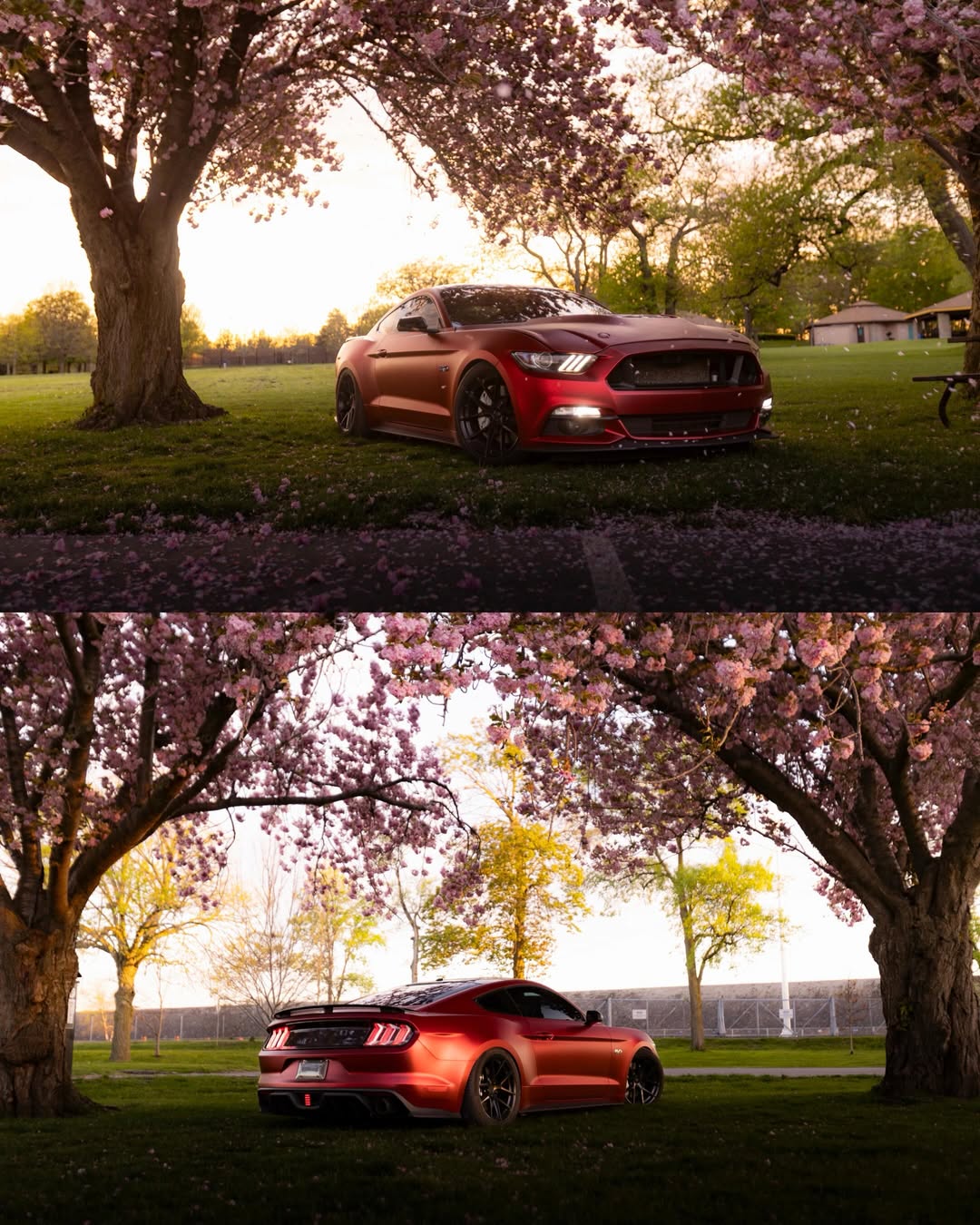 Satin Chrome Metallic Romanee Red Vinyl Wrap | Satin Romanee Red Metallic Chrome review 2