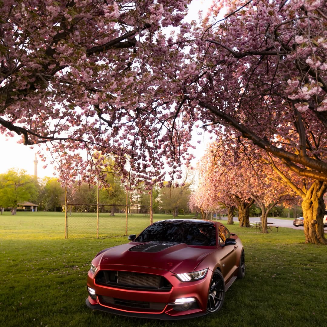 Satin Chrome Metallic Romanee Red Vinyl Wrap | Satin Romanee Red Metallic Chrome review 1