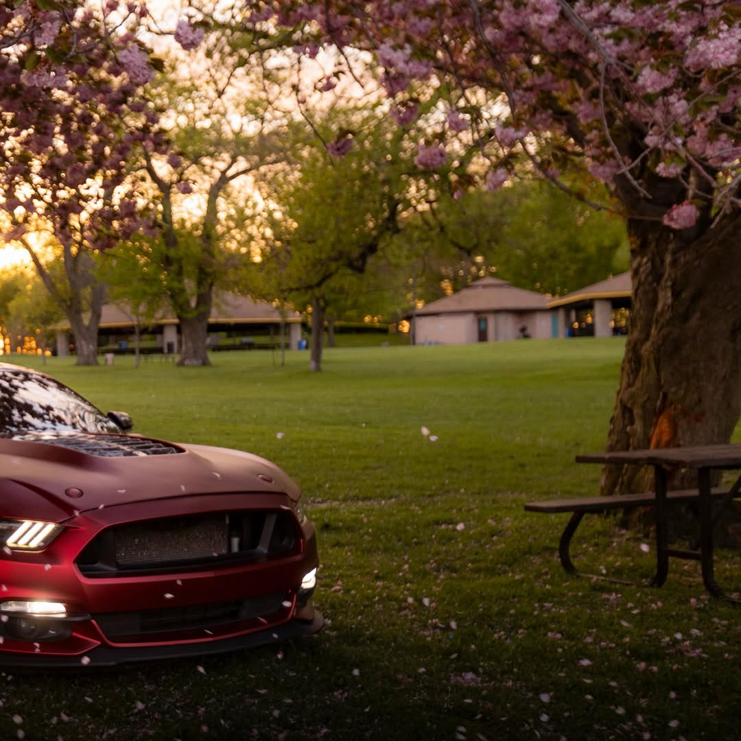 Satin Chrome Metallic Romanee Red Vinyl Wrap | Satin Romanee Red Metallic Chrome review 5