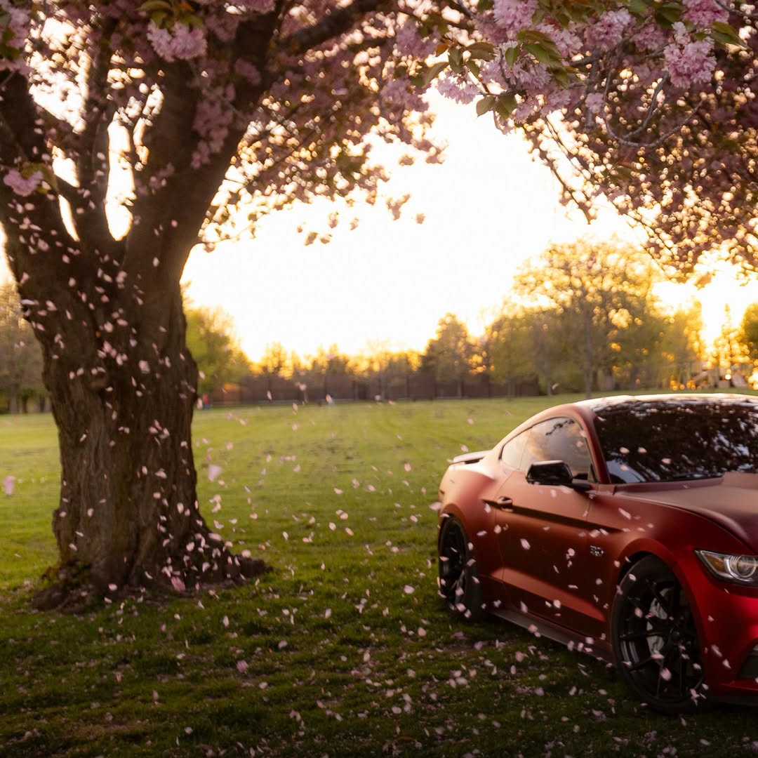Satin Chrome Metallic Romanee Red Vinyl Wrap | Satin Romanee Red Metallic Chrome review 4