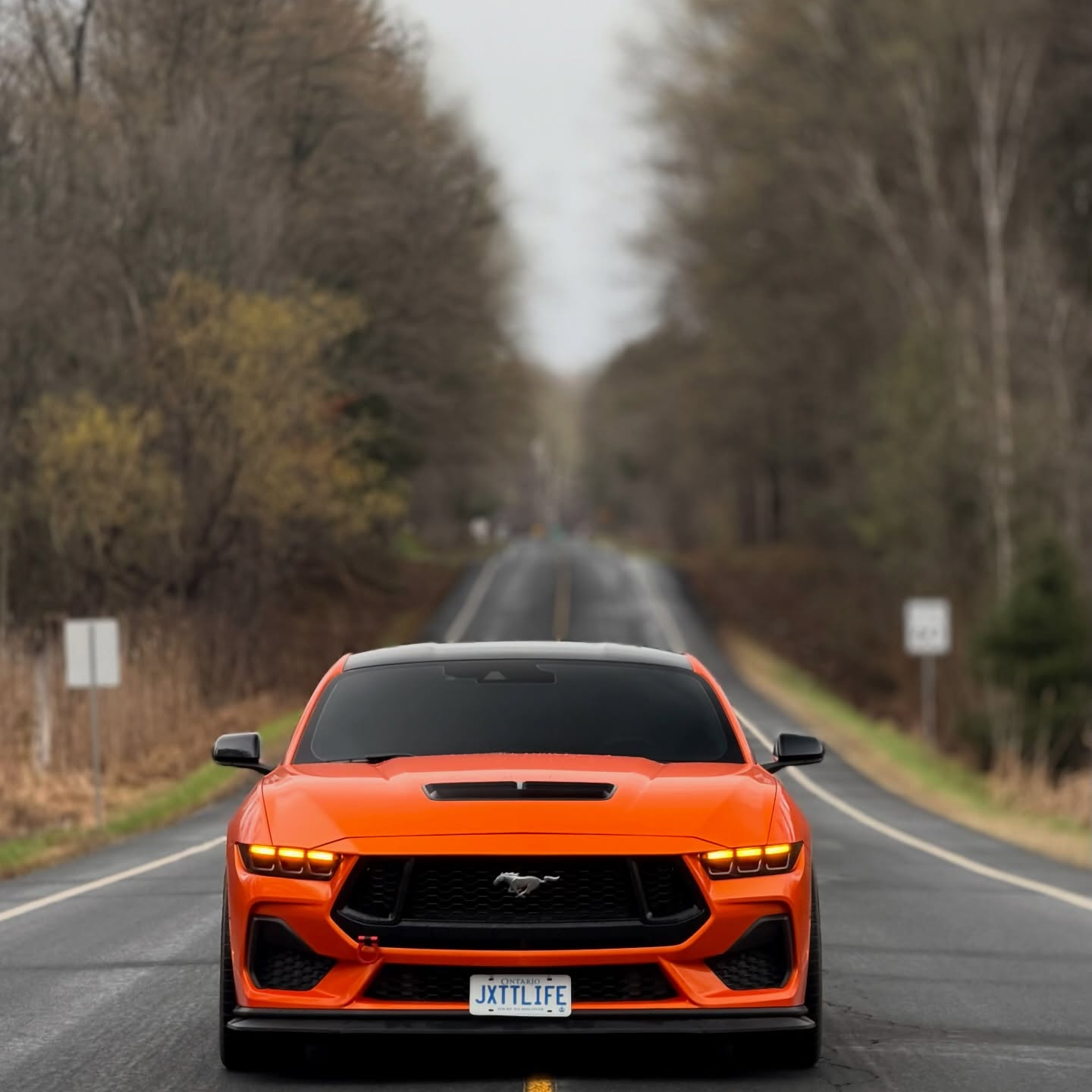Gloss Metallic Fiery Orange Car Vinyl Wrap PET  review jxttlife__ 00