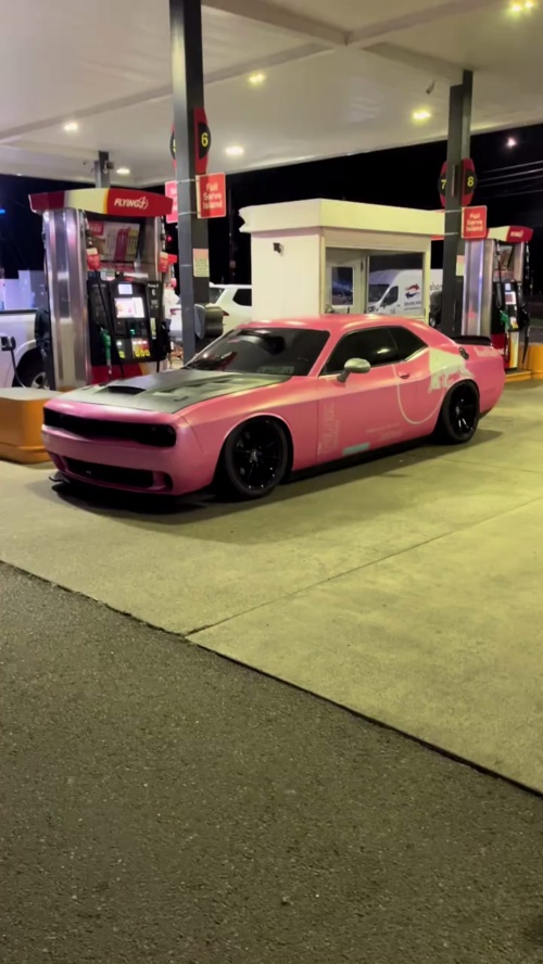 Matte Metallic Shell Pink Car Vinyl Wrap PET reviewed by