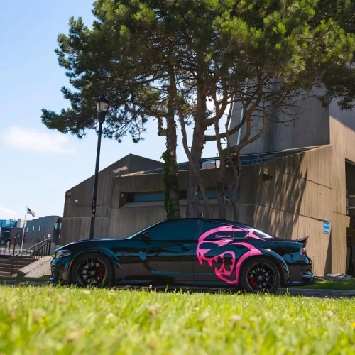 Gloss Metallic Sparkle Glitter Pink Car Vinyl Wrap  reviewed by
