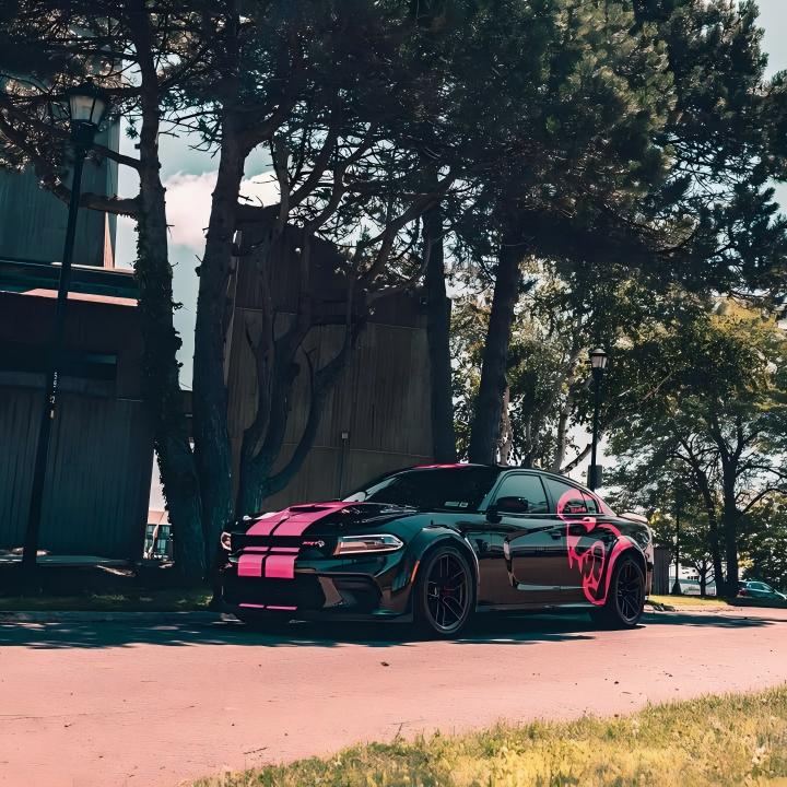 Gloss Metallic Sparkle Glitter Pink Car Vinyl Wrap  review connorlochheadmedia 03