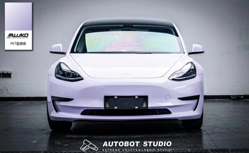 Coming with the wind, light purple blooms!