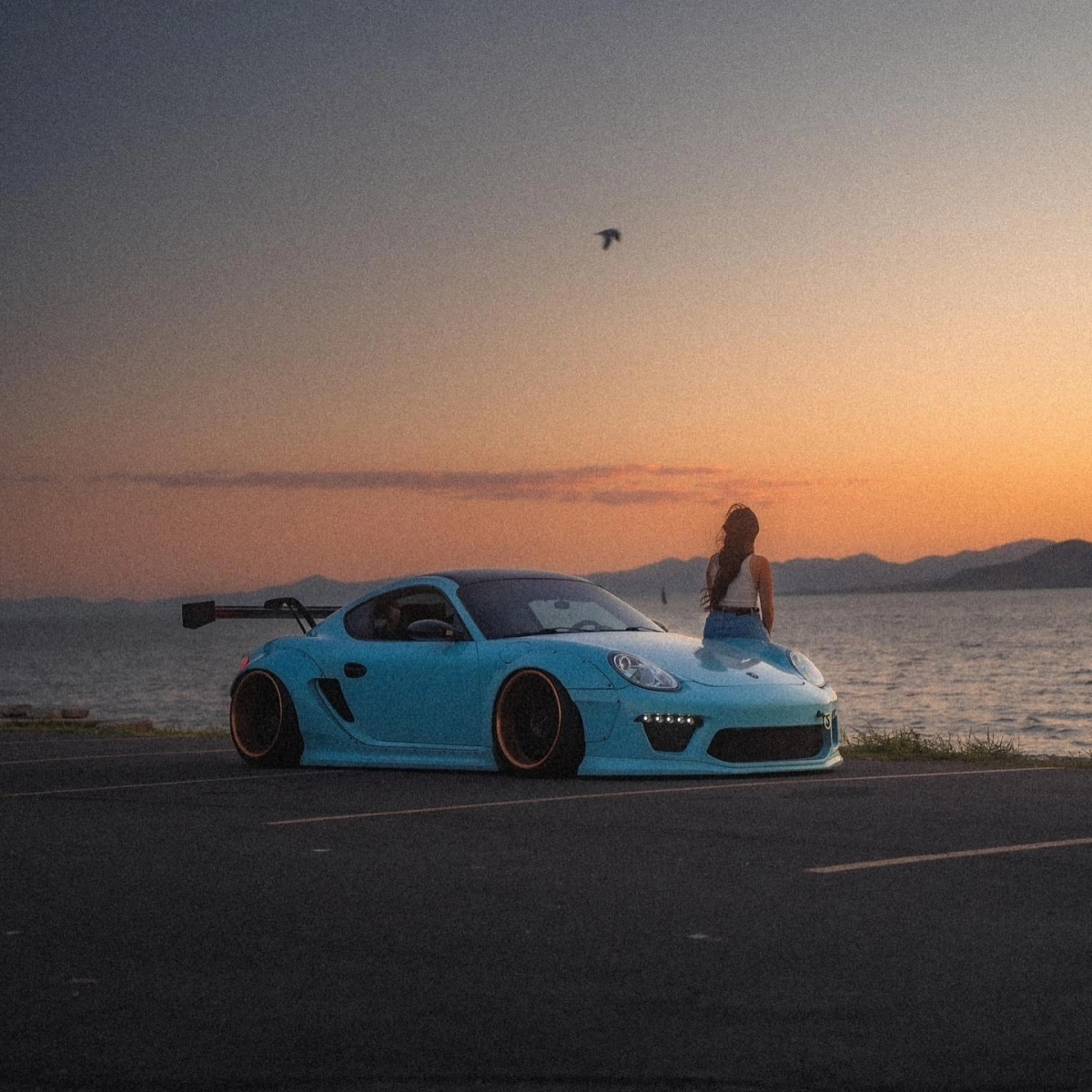 The Stunning Appeal of Meissen Blue Car Wraps