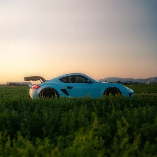 Meissen Blue Car Wrap