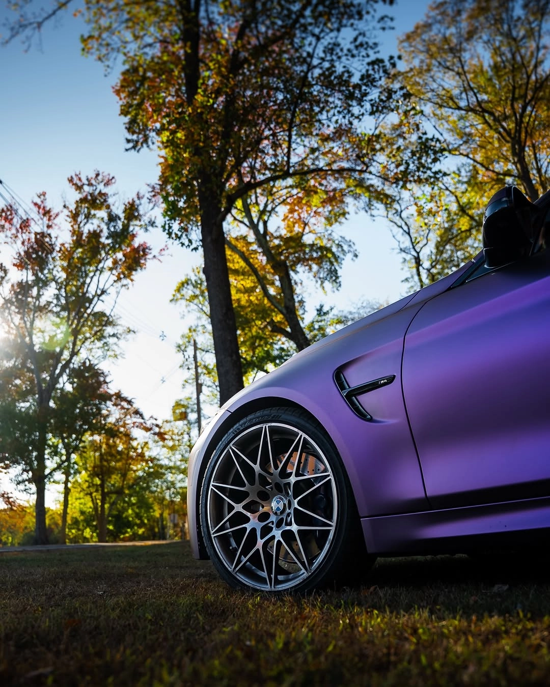 PPF Wholesale Buying Guide: Pricing, Minimum Orders, and Top Suppliers for Businesses