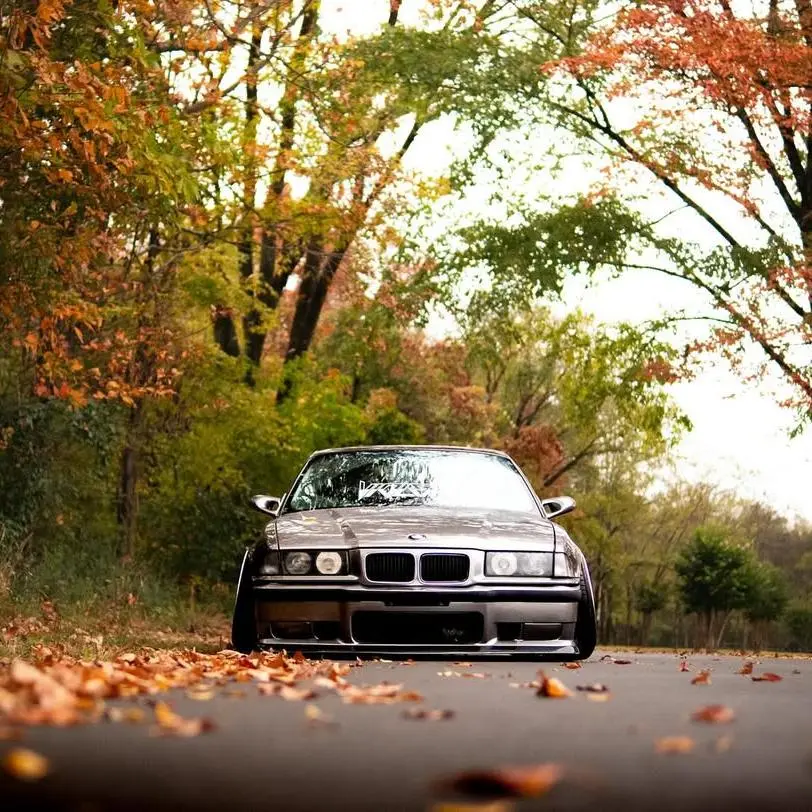 Silver PPF Applications: Transforming Vehicle Aesthetics with Metallic Protection Film