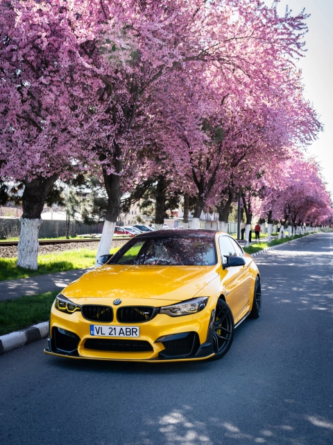 Is Gloss Metallic Golden Yellow Wrap Worth It? An Honest Material Durability Review