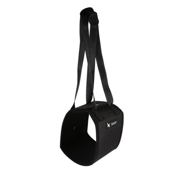 Dog Support Sling