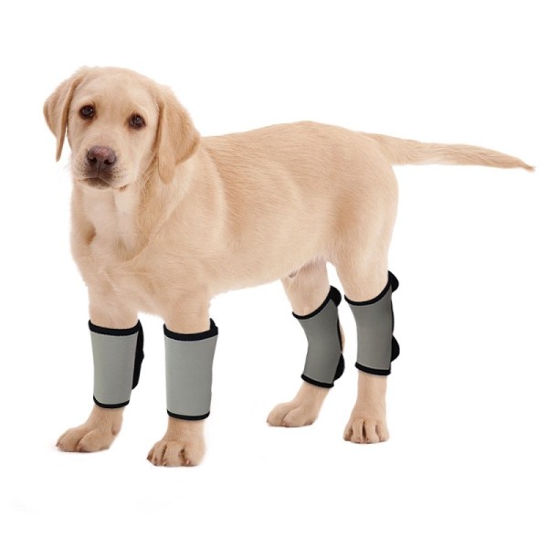 Dog Wrist Brace Carpal Protector Post Surgery Injury